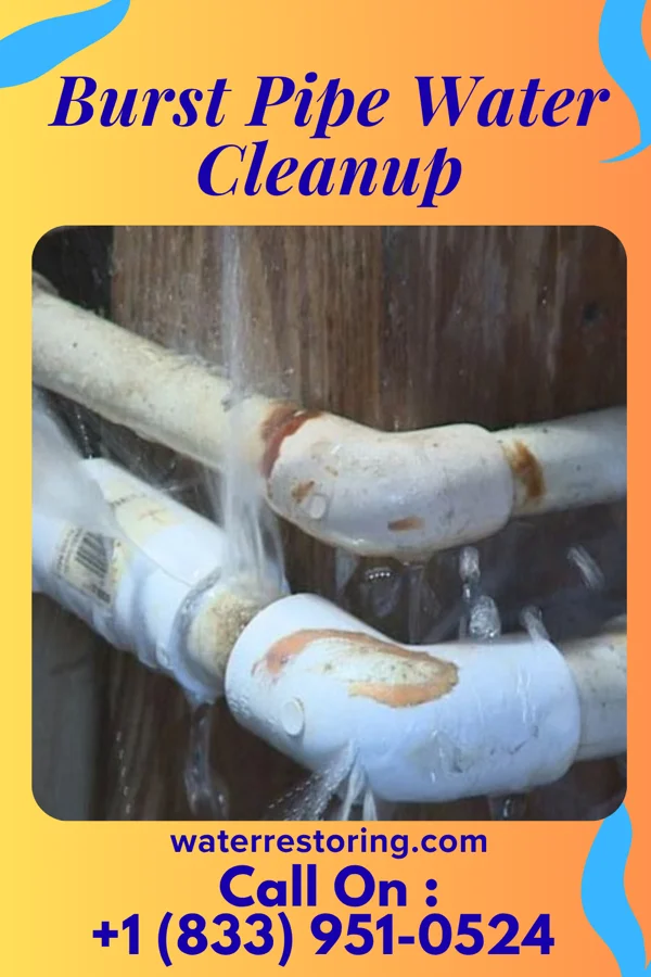 Burst Pipe Water Cleanup in Albright, WV
