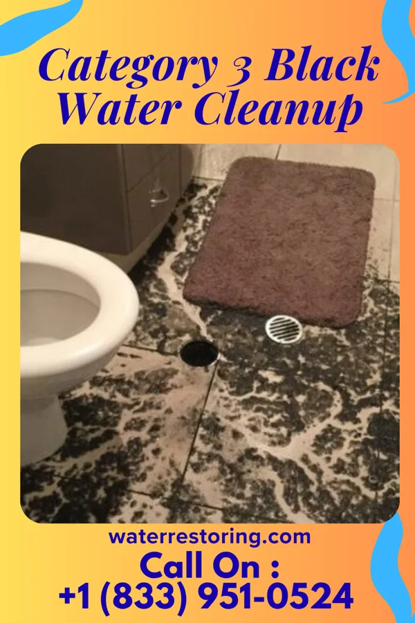 Category 3 Black Water Cleanup in Albright, WV