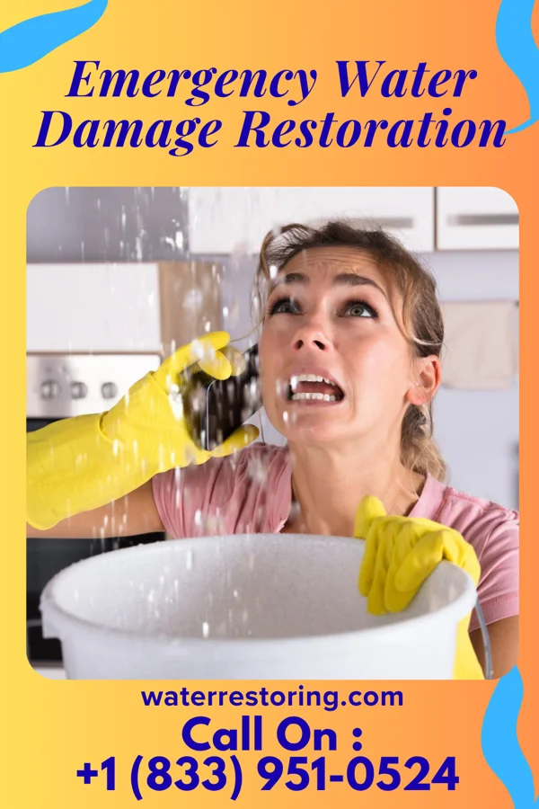 Emergency Water Damage Restoration in Albright, WV