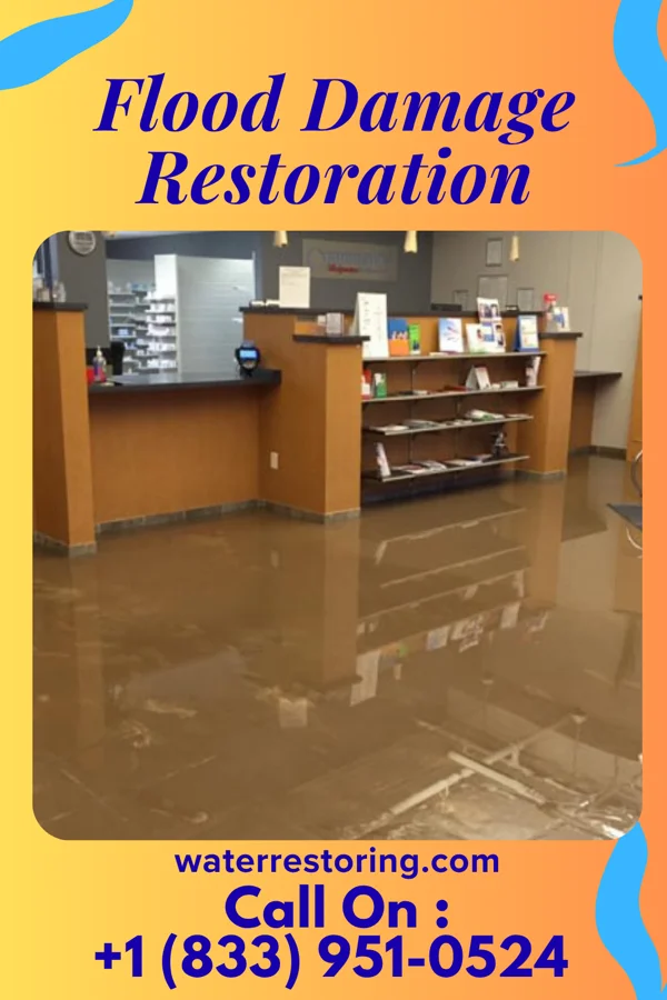 Flood Damage Restoration in Albright, WV