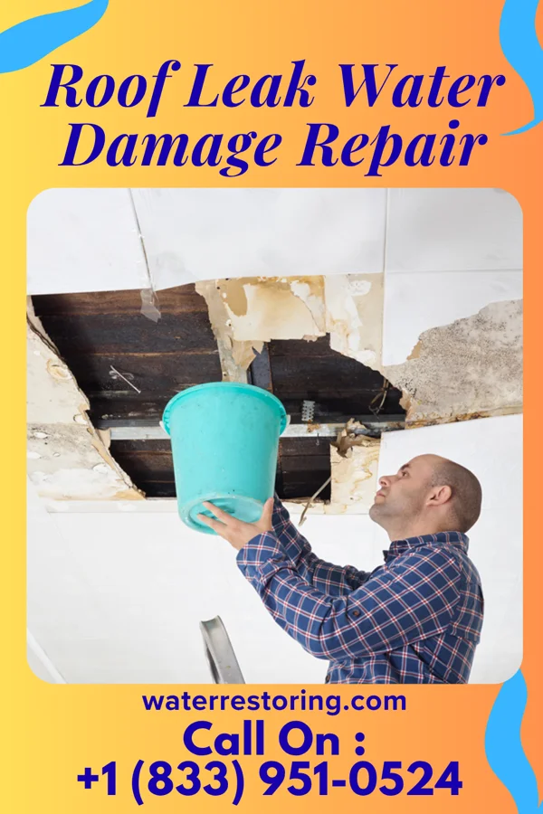 Roof Leak Water Damage Repair in Albright, WV