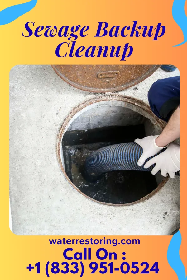 Sewage Backup Cleanup in Albright, WV