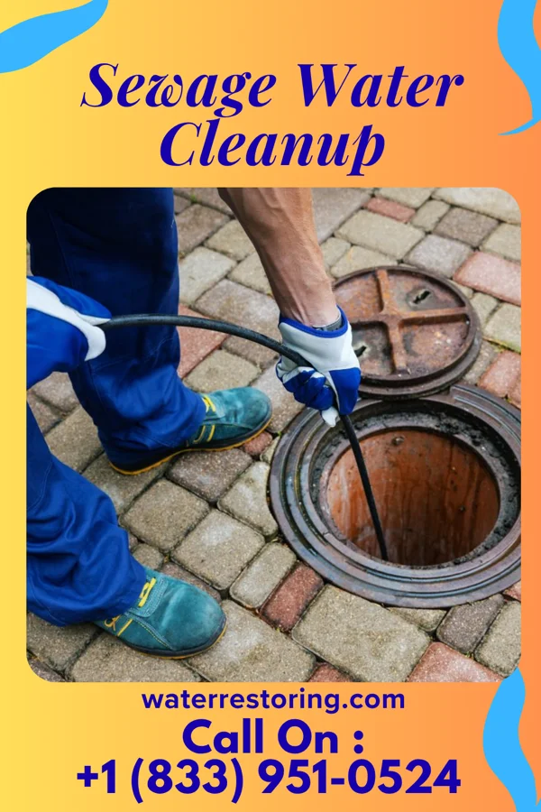 Sewage Water Cleanup in Albright, WV